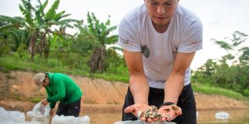 Proyecto «Tres cochas» siembra 62,500 peces amazónicos en tres lagunas de Ucayali