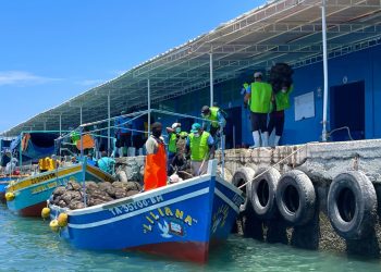 Piura: bahía de Sechura es declarada área exclusiva para la pesca y acuicultura