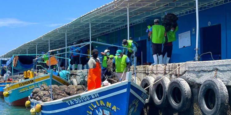 Piura: bahía de Sechura es declarada área exclusiva para la pesca y acuicultura