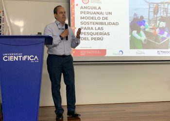 Recurso anguila está a punto de lograr certificación de pesca sostenible