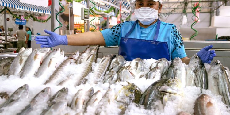 Produce aprobó medidas y facilidades para operador económico autorizado por Sanipes
