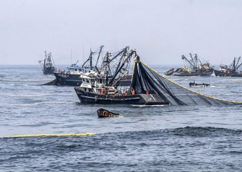 Se prevé un mejor desempeño en el sector pesquero ante un Fenómeno El Niño débil