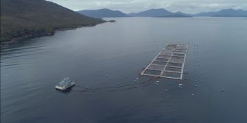 Europa: especialistas en acuicultura multitrófica publican un curso online gratuito