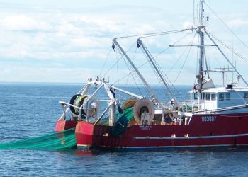 Industria argentina en contra de reforma pesquera de Milei y demanda diálogo «urgente»