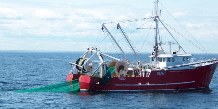 Industria argentina en contra de reforma pesquera de Milei y demanda diálogo «urgente»