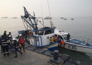 Ejecutivo aprobó sanciones para quienes cometan el delito de construcción ilegal de embarcaciones