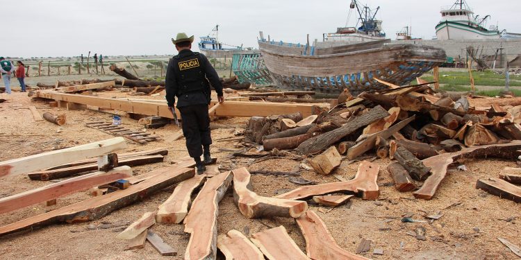 INFORME | Los astilleros ilegales amenazan la pesca en Perú