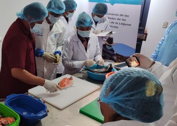 Tacna: Optimizan en forma innovadora, sostenible y rentable el cultivo de la trucha arco iris a más de 3500 msnm.