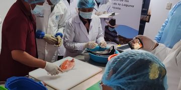 Tacna: Optimizan en forma innovadora, sostenible y rentable el cultivo de la trucha arco iris a más de 3500 msnm.