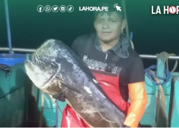 Piura: Pescador desaparece en alta mar tras caer de embarcación potera en Sechura