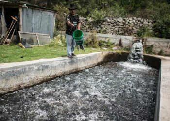 FONDEPES capacitó a más de 51 mil productores acuícolas de forma virtual desde el 2020