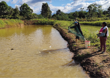 Huánuco: Dirección General de Acuicultura promueve asociatividad de productores acuícolas en el distrito de Cholón