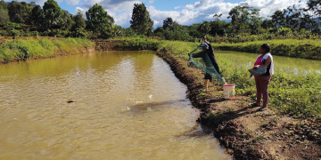 Huánuco: Dirección General de Acuicultura promueve asociatividad de productores acuícolas en el distrito de Cholón