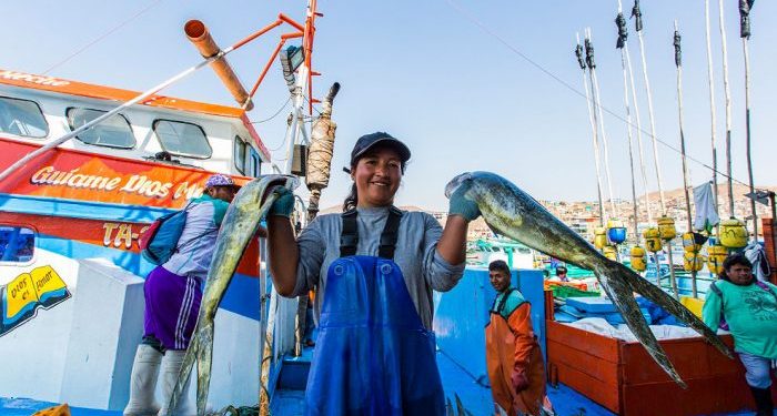 FONDEPES: ¿Conoce cuáles son los requisitos para solicitar un crédito de pesca artesanal?