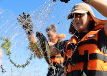 INFORME | La veda pesquera y la importancia de su cumplimiento