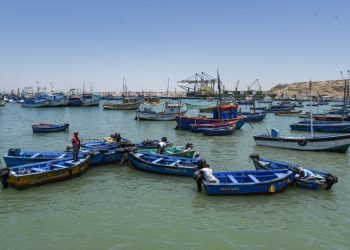 INFORME | Pescadores artesanales exigen apoyo frente a la llegada de El Niño a Perú