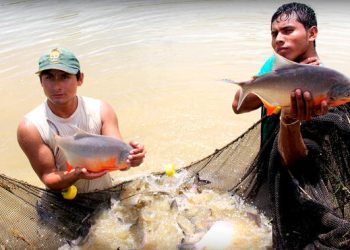 Fondepes capacitará a más de 15 mil acuicultores y pescadores artesanales en 2024