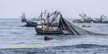 ADEX: Exportaciones peruanas de bacalao de profundidad superan los US$ 385,000