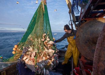 La OIT publicó informe sobre la situación laboral en los sectores de pesca y acuicultura de la región