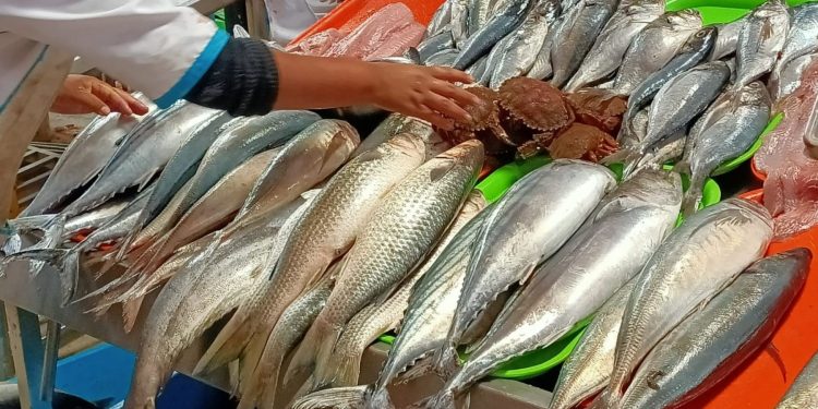 Semana Santa: Produce ofrecerá 200 toneladas de pescado en 160 ferias a nivel nacional