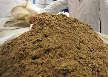 Empresarios pesqueros reiteran pedido para reducir la talla mínima de la anchoveta y salvar harineras