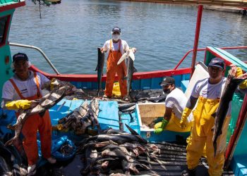 Produce amplía hasta 67 años edad para créditos a pescadores artesanales y acuicultores