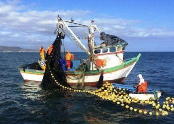 XXVI Foro del Futuro: Urgen acciones coordinadas para el uso sostenible de los recursos marítimos