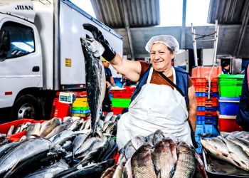 Semana Santa: peruanos consumieron 5.3% más de productos marinos que el 2023