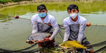 Produce reunirá a proveedores tecnológicos y mypes del sector pesca y acuicultura en el “ACUIPES San Martín 2024”