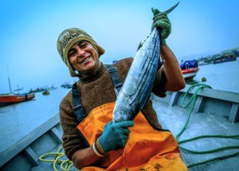 INFORME | Una década esperando la ley que proteja el mar que produce la mayoría del pescado que se consume en Perú