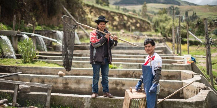 Produce financió con S/2,6 millones en créditos a pescadores artesanales y acuicultores del país