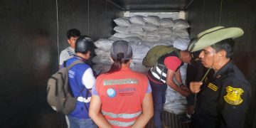 Sanipes participó en la inmovilización de más de seis toneladas pescados en Iquitos por no contar con Certificado de Procedencia
