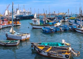 ADEX: Exportación pesquera primaria crecería 75.2% en Perú el 2024