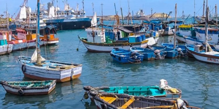 ADEX: Exportación pesquera primaria crecería 75.2% en Perú el 2024