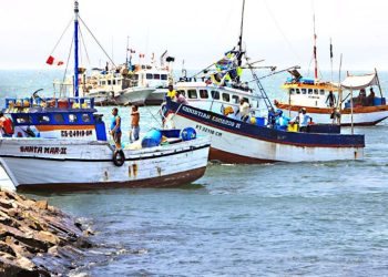 Gobierno fortaleció capacidades de más de 900 pescadores artesanales en abril