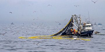 Poder Judicial deja al voto demanda de empresas pesqueras para pescar en áreas protegidas