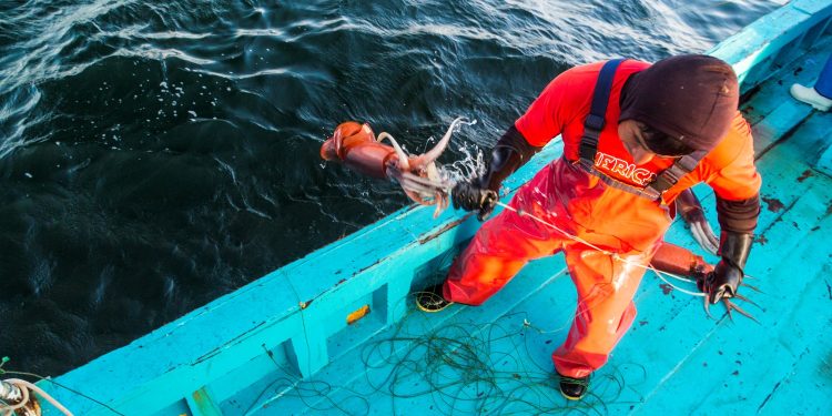 SONAPESCAL y CAPECAL presentan proyecto de ROP de la Pota