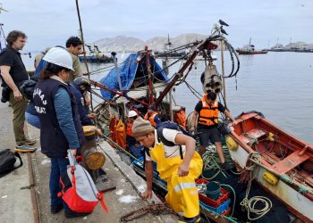 Pesca ilegal: Ministerio de la Producción realizó más de 70 mil inspecciones de fiscalización