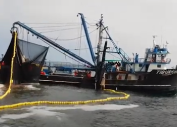 Roberto Larrain: “Hemos tenido una exitosa pesca de anchoveta y sin accidentes en el mar”