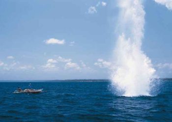 Reserva Nacional de Paracas: Pesca con explosivos se redujo en 95 %