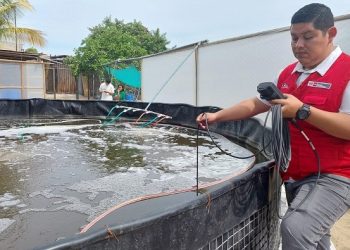 Decena de especialistas acuícolas fueron capacitados en el manejo del sistema Biofloc