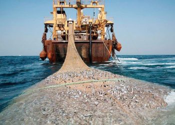 Perú pierde más de 1 200 millones de dólares al año a causa de la pesca ilegal