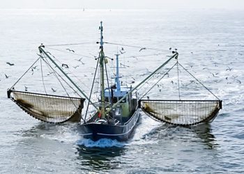 Poder Judicial rechazó demanda de empresas pesqueras para pescar en áreas protegidas