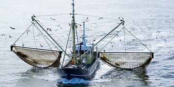 Poder Judicial rechazó demanda de empresas pesqueras para pescar en áreas protegidas