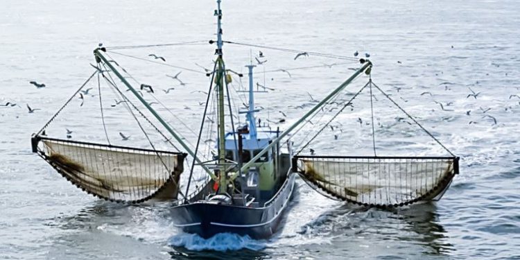 Poder Judicial rechazó demanda de empresas pesqueras para pescar en áreas protegidas