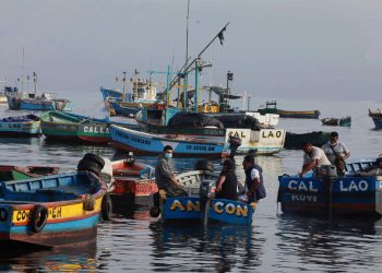 Dina Boluarte anunció la aprobación de política nacional de pesca para impulsar competitividad