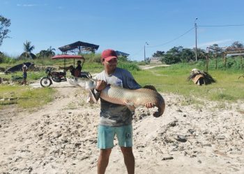 CITEpesquero Piura promueve cadena de valor del paiche ante creciente demanda del recurso