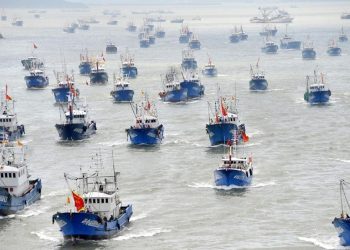 Sociedad Nacional de Pesca Artesanal denunció ingreso de más de 240 barcos chinos sin control en puertos peruanos