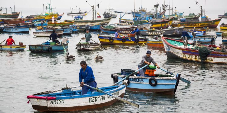 Más de 600 pescadores artesanales será capacitados para fortalecer la formalización del sector