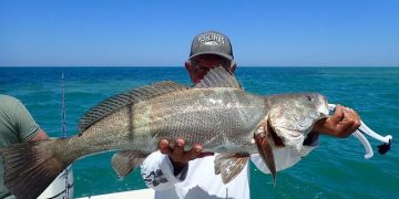 El pescado más caro del mundo está en América, cuesta más de 8 mil dólares y es cotizado en China